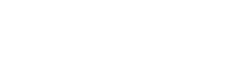 FS