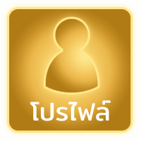 โปรไฟล์