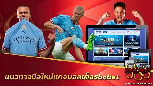 แนวทางมือใหม่แทงบอลเต็ง Sbobet