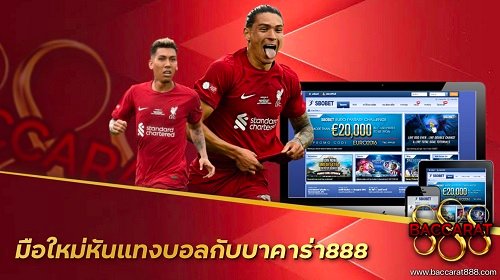 มือใหม่หัดแทงบอลกับบาคาร่า888